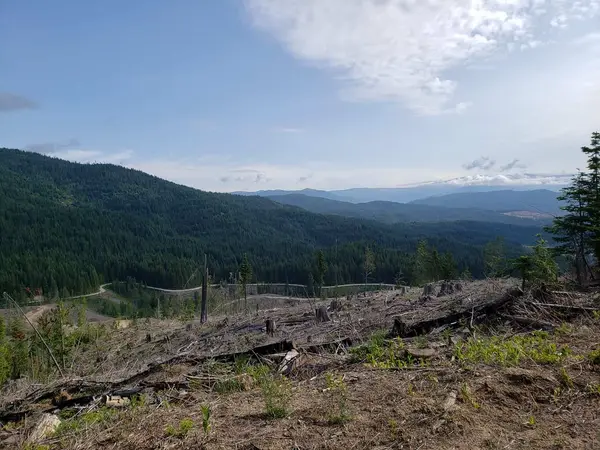 Shattuck Creek Outfitters