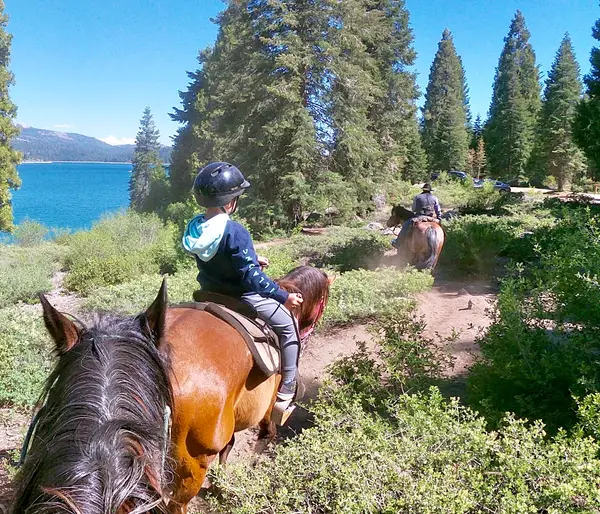 Shaver Stable