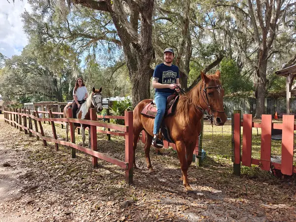 Shenandoah Stables