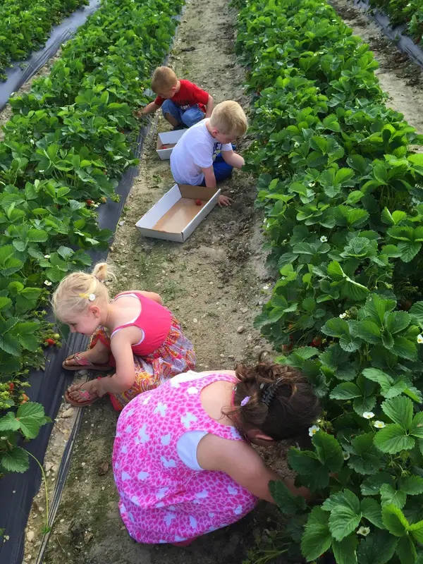 Shlagel Farms, Waldorf, MD