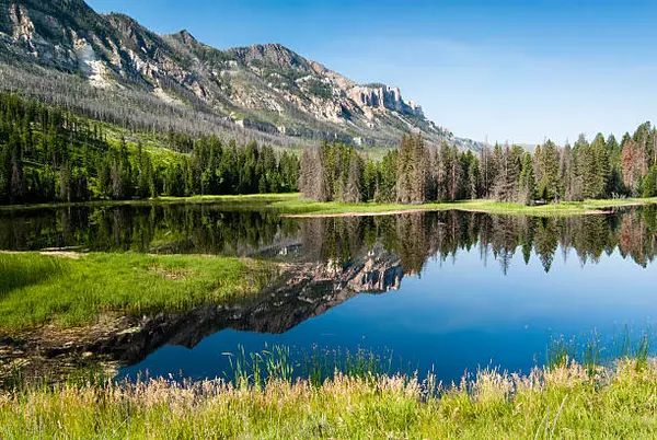 Shoshone National Forest OHV Trails