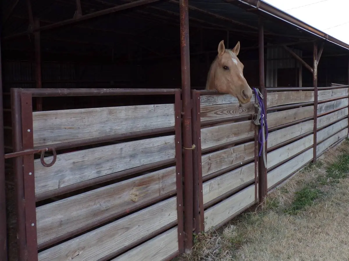 Silver Creek Stables