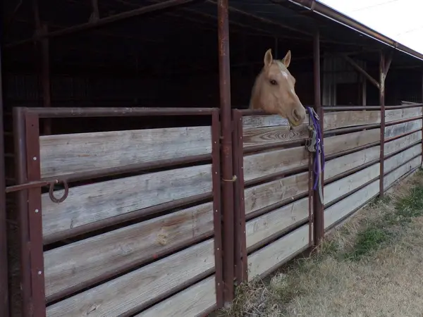 Silver Creek Stables