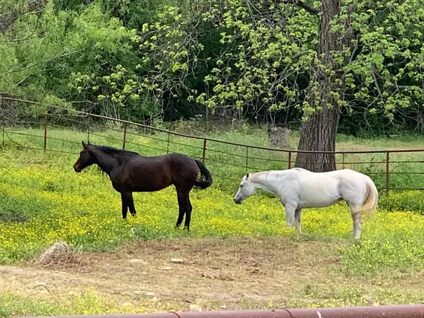 Silver Creek Stables, photo 3
