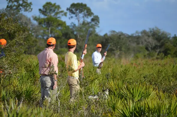 Silver Lake Preserve