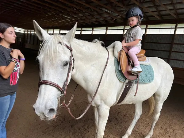 Silver Lining Stables