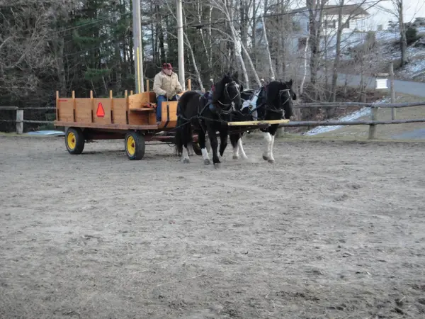 Silver Ranch Stables