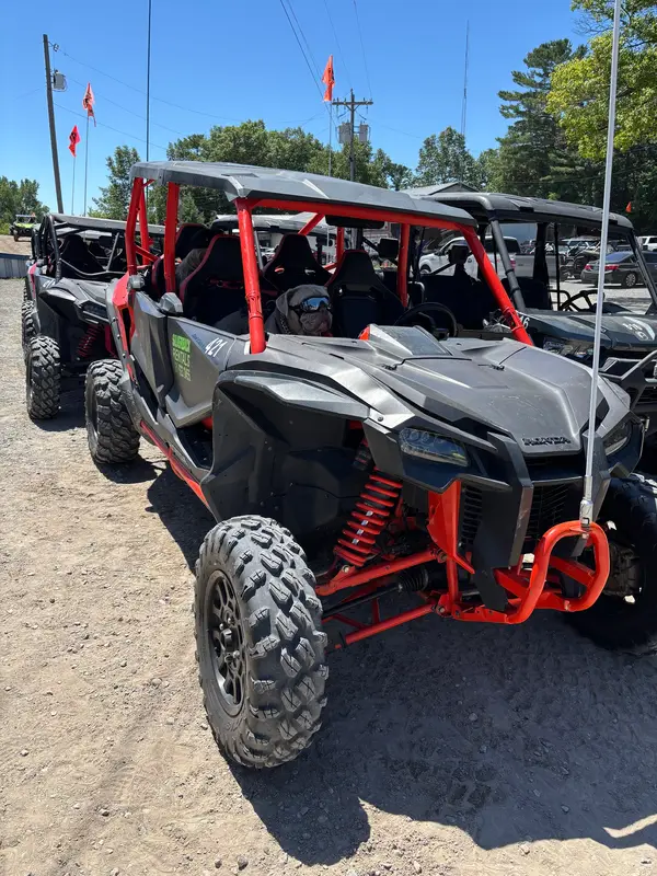 Silverback Offroad Rental SILVER LAKE