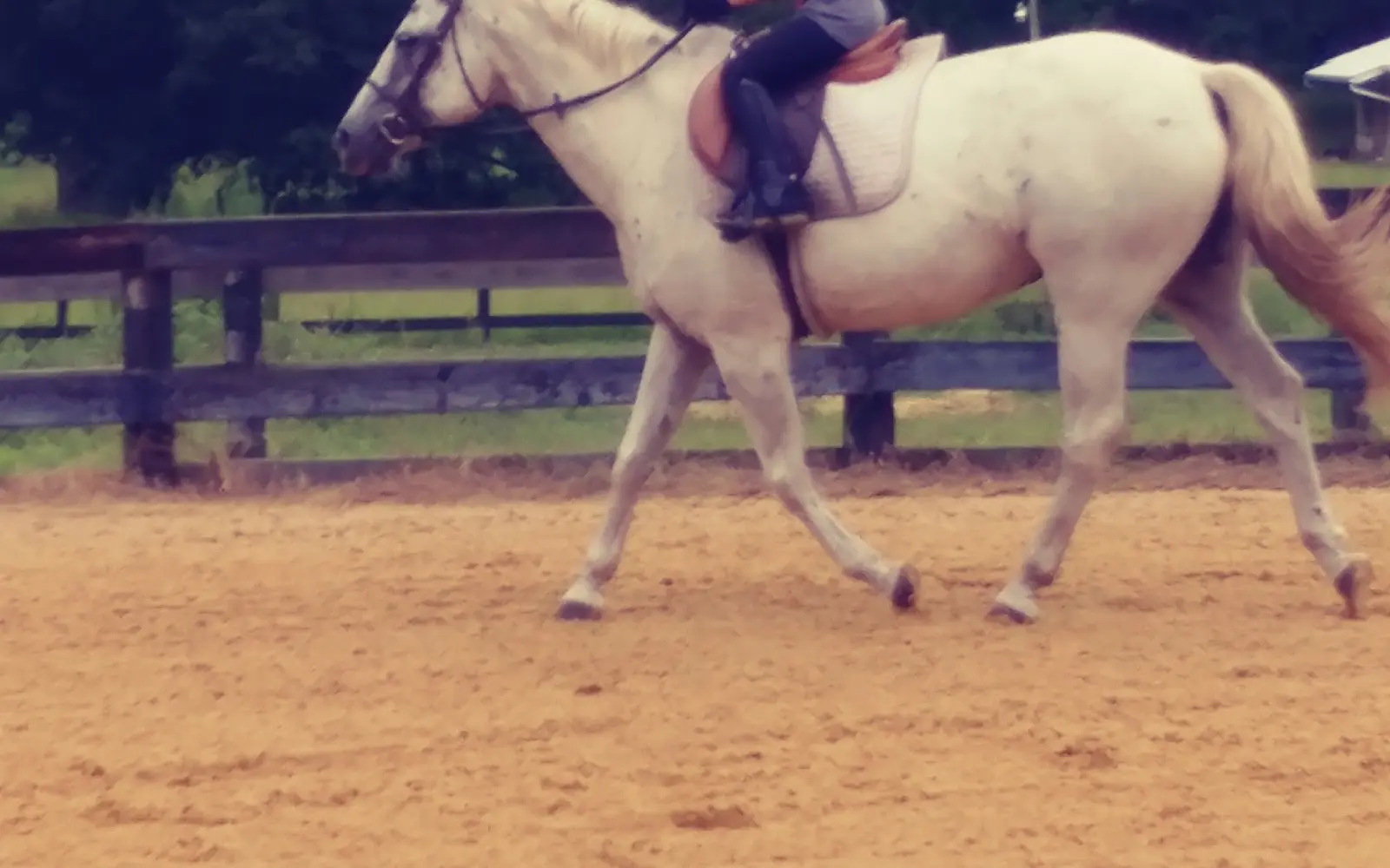 SilverStride Equestrian Center