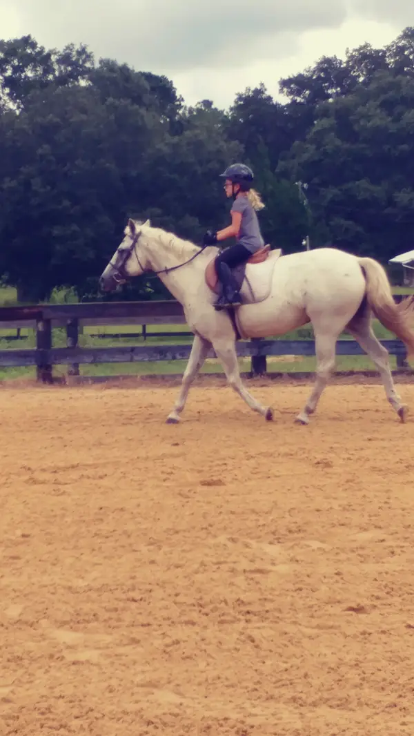 SilverStride Equestrian Center