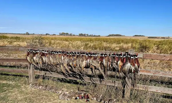 Sioux River Hunt Club