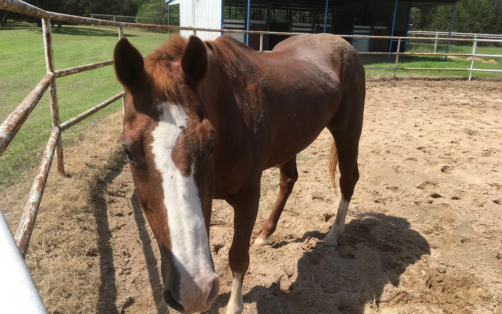 Sixty Equestrian Center