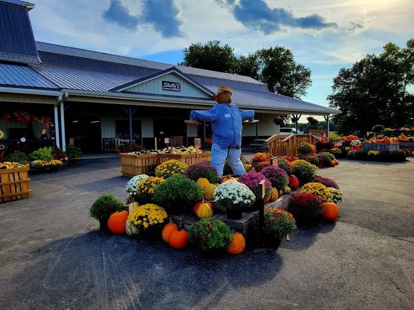 Skelly's Farm Market, Janesville, WI