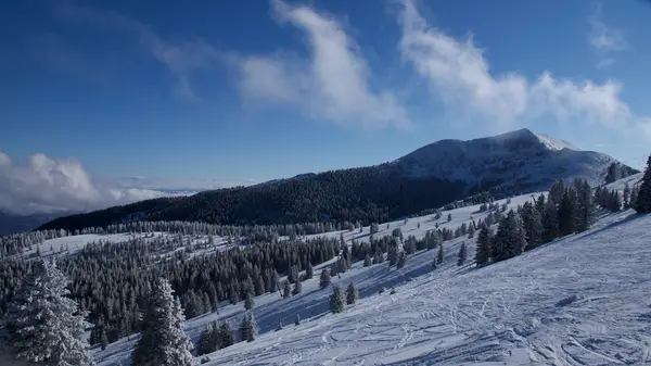 Ski Apache