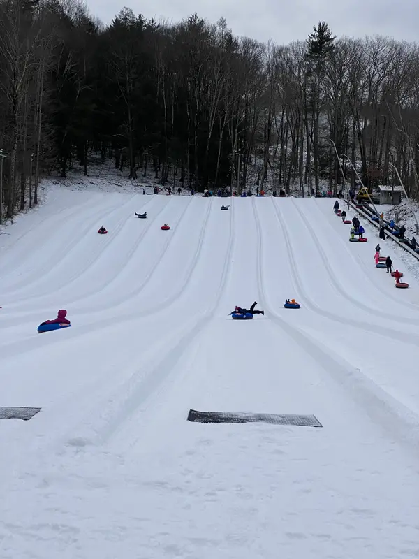 Ski Butternut