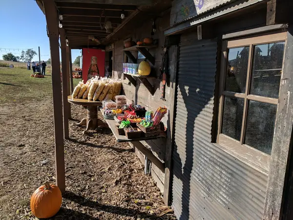 Skinny Bones Pumpkin Patch, Blair, NE