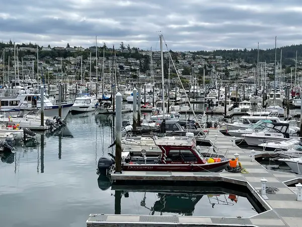 Skyline Marine Center