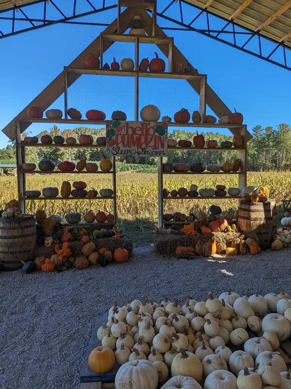 Sleepy Hollow Farm, Powder Springs, GA