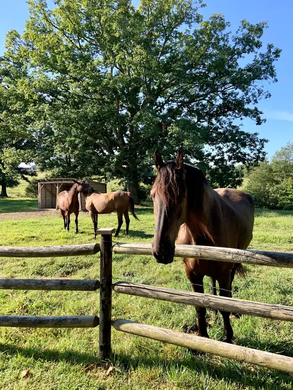 Sleepy Hollow Stables LLC