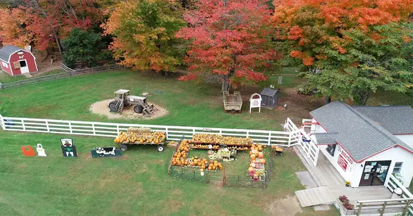 Smiling Hill Farm Barnyard Animal Exhibits, Westbrook, ME