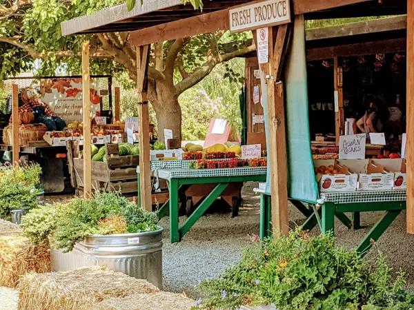 Smith Family Farm, Brentwood, CA