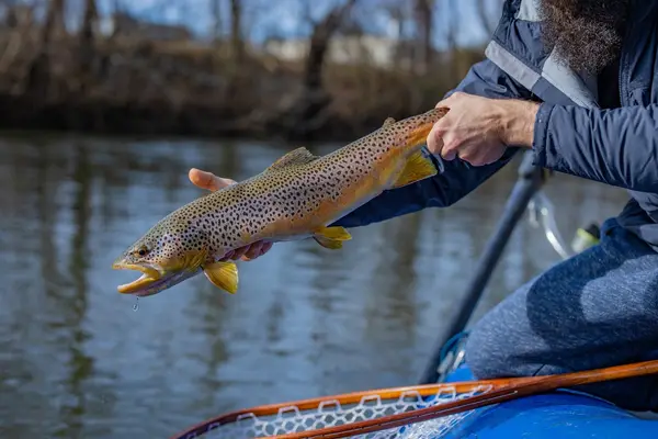 Smith River Outfitters