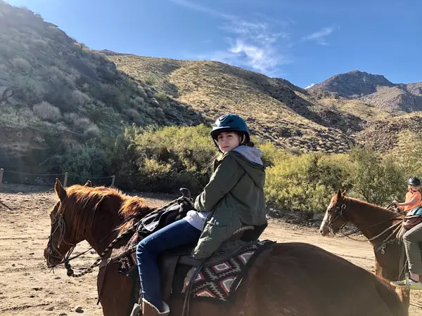 Smoke Tree Stables