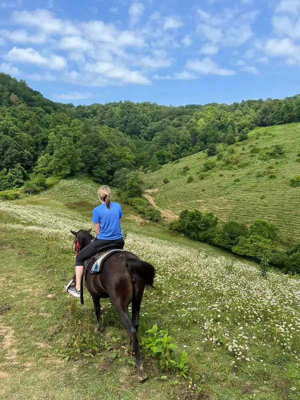 Smoky Mountain Trail Rides, Marshall, NC