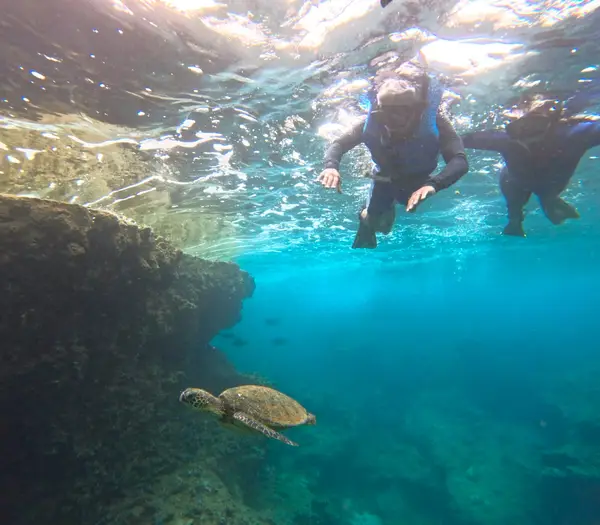 Snorkel And Dive Hawaii