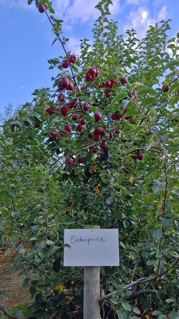Solebury Orchards, New Hope, PA