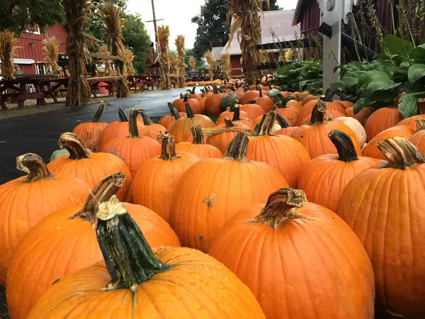 Sonny Acres Farm, West Chicago, IL