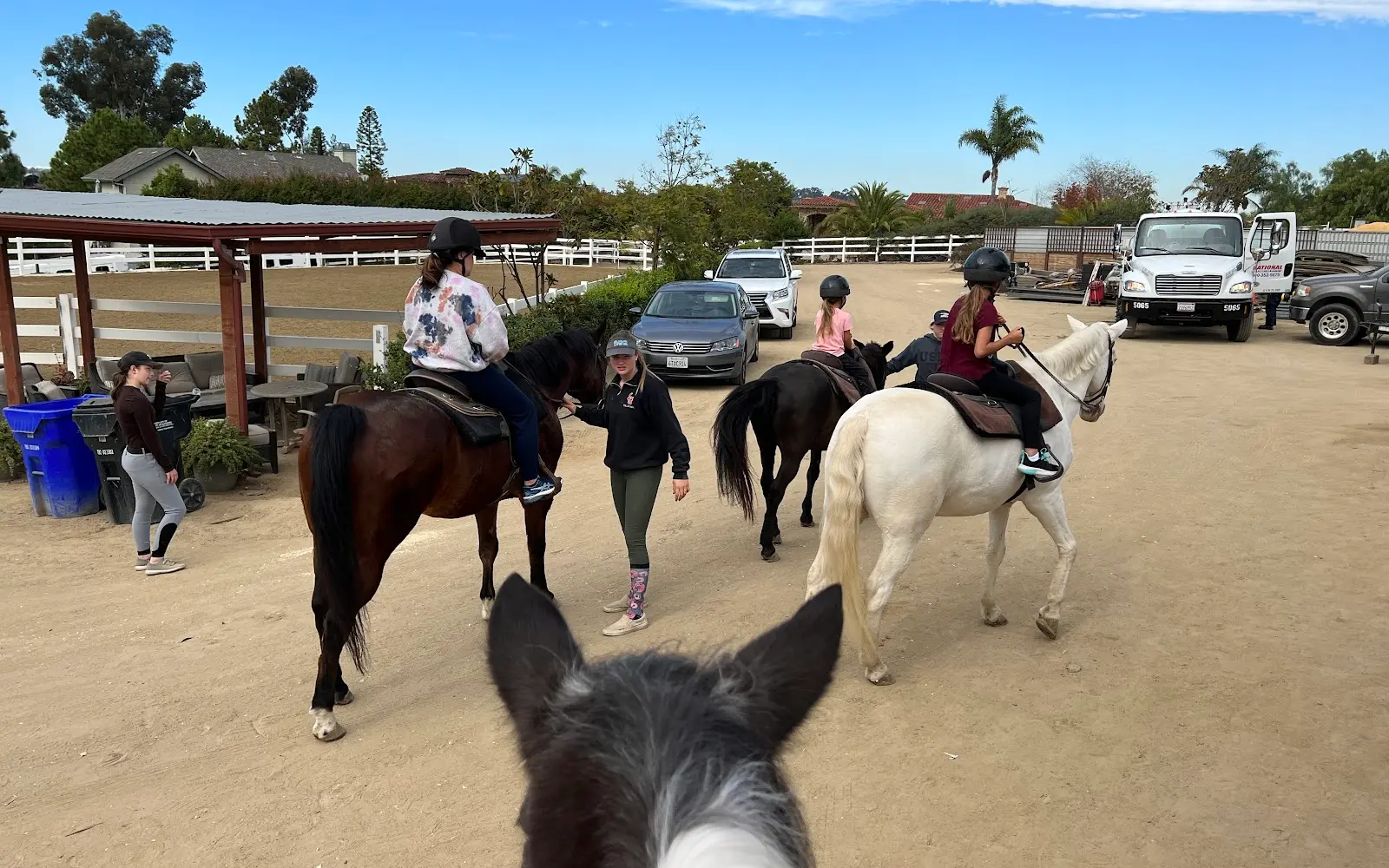 South Coast Equestrian