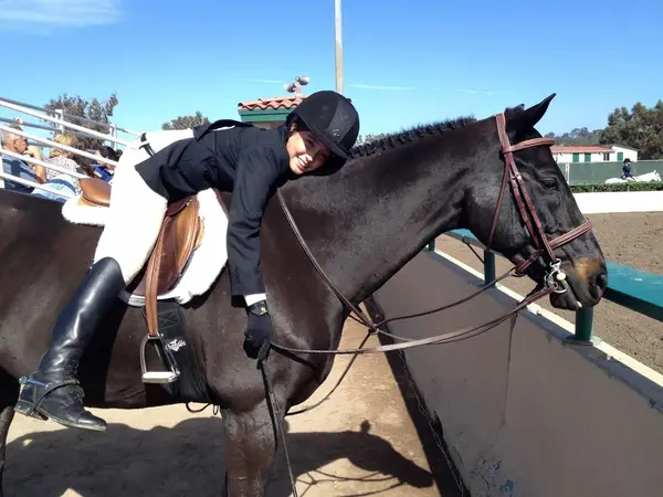 South Coast Equestrian, photo 3
