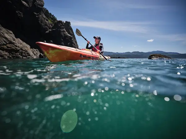 South Coast Tours, Port Orford, OR