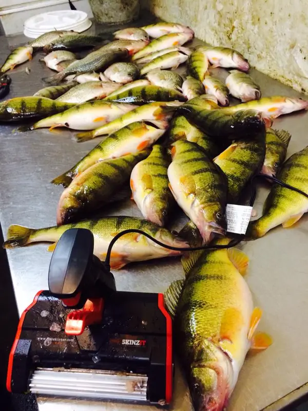 South Dakota Fishing Guide