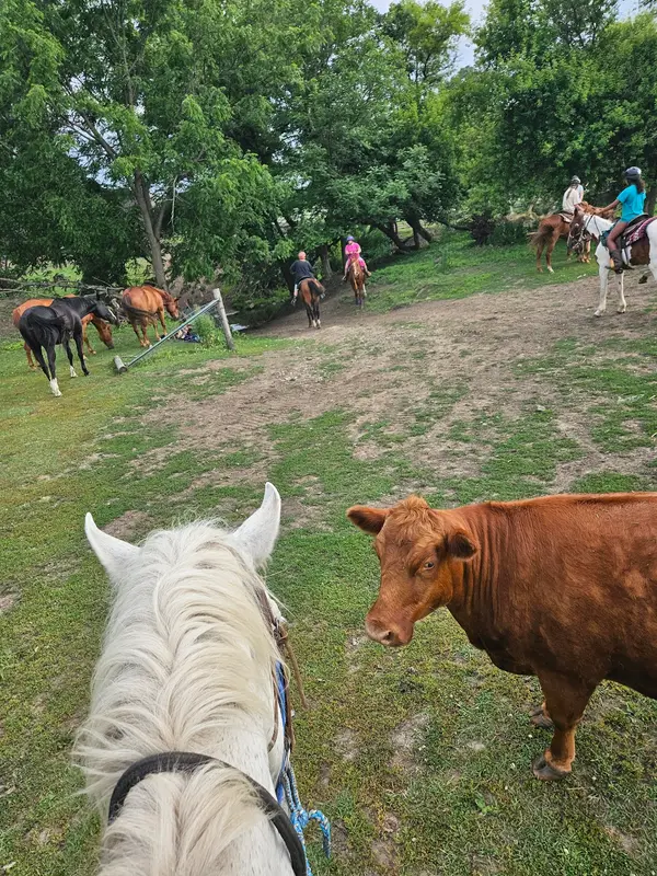 South Timber Creek Ranch LLC