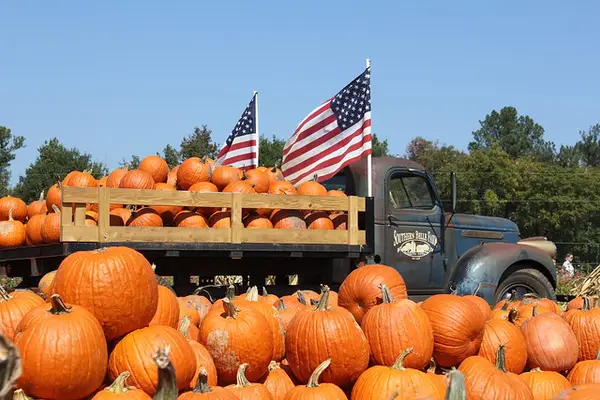 Southern Belle Farm, McDonough, GA