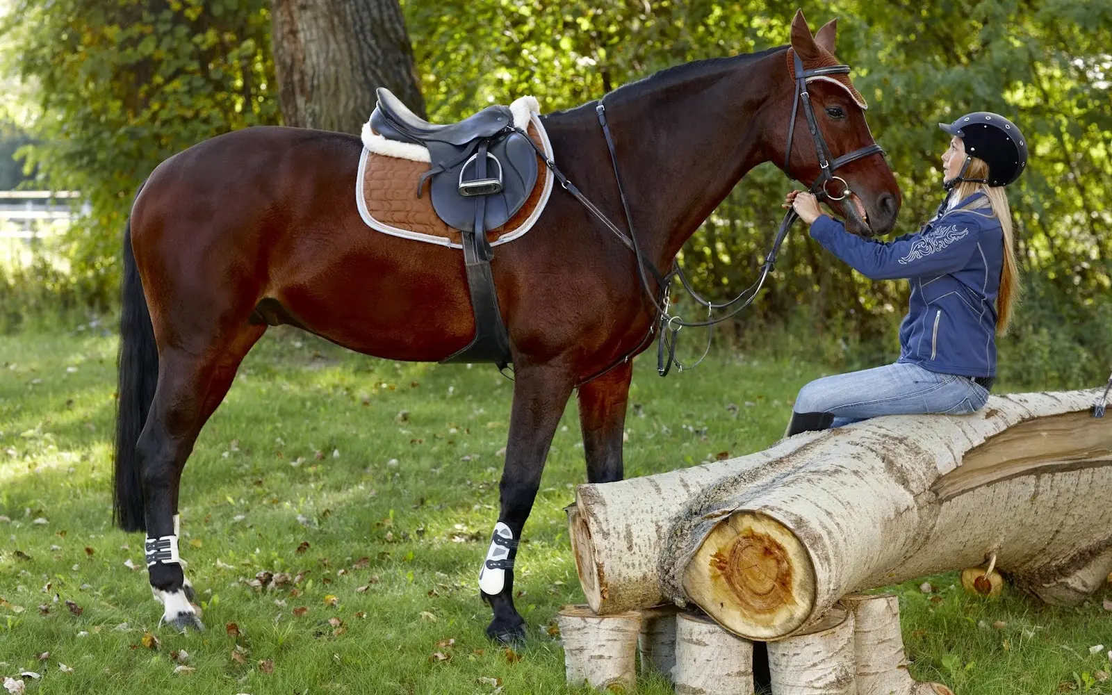 Southern Breeze Equestrian Center