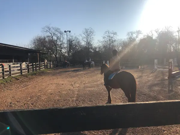 Southern Breeze Equestrian Center, photo 1