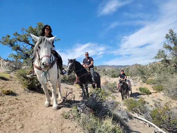 Southern California Horseback Trail Rides, photo 4