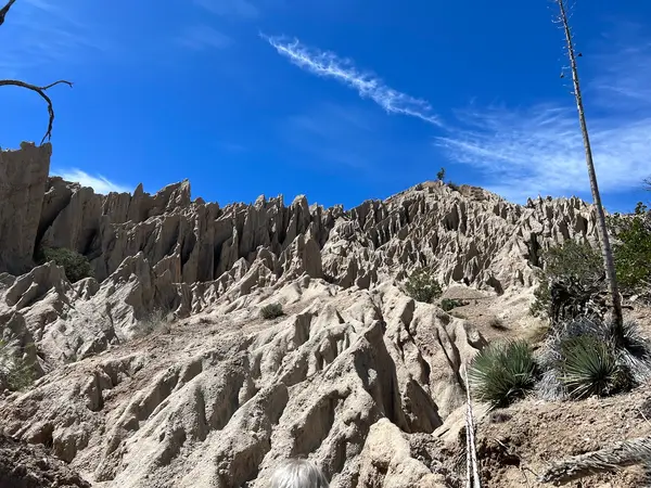 Southern California Horseback Trail Rides, photo 3