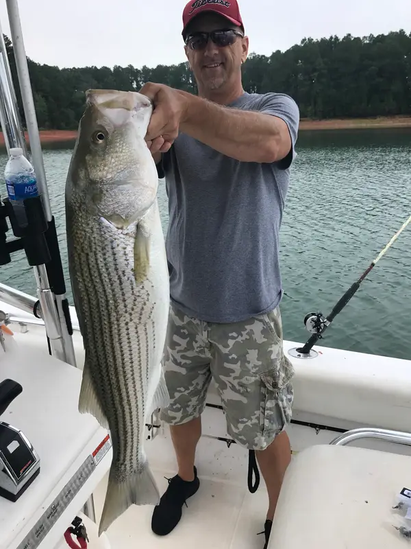 Southern Comfort Striper Guide