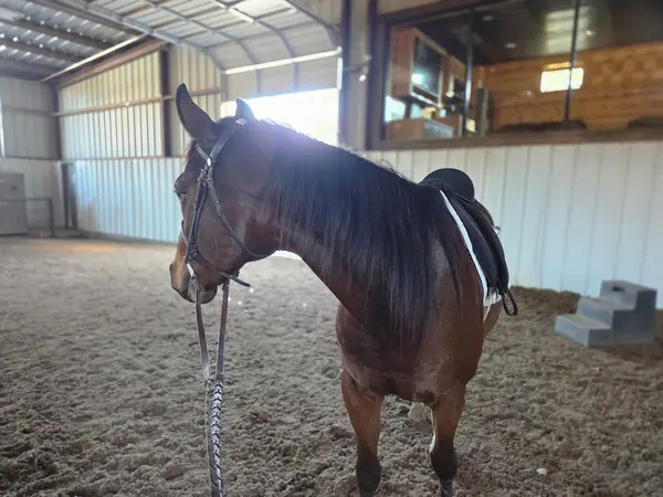 Southern Hills Riding Academy, Inc.