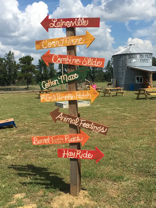 Southern Palmetto Farms, Aynor, SC