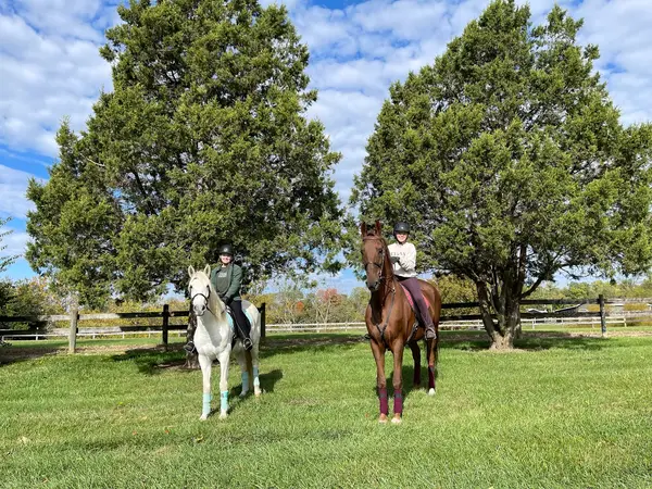 Southern Sky Stables