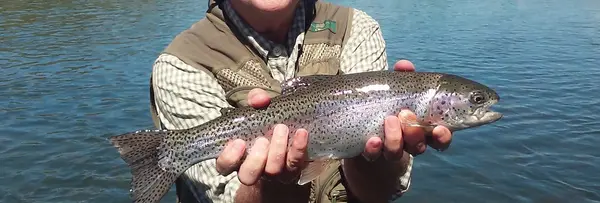 Southwest Anglers LLC