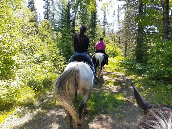 Spider Lake Ranch Riding Stable