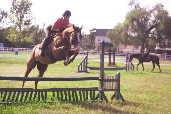 Split Elm Equestrian Center, Mays Landing, NJ