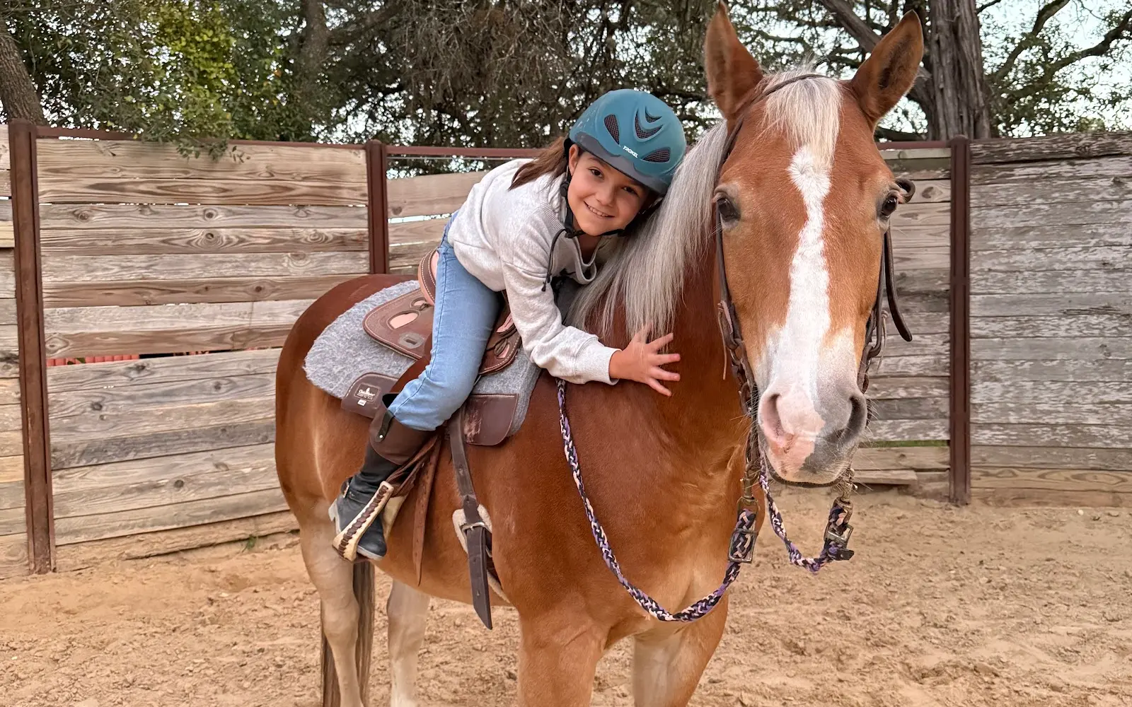 Spring Creek Stables