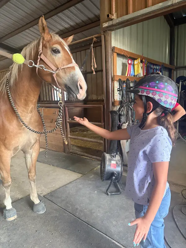 Spring Creek Stables, photo 1